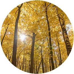 Celebrate Local - Things to do